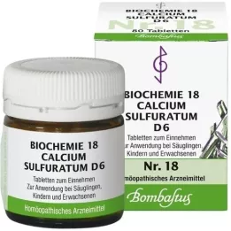 BIOCHEMIE 18 Calcium sulphuratum D 6 tablet, 80 ks
