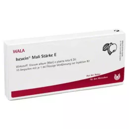 ISCUCIN Mali Starch E Ampule, 10X1 ml
