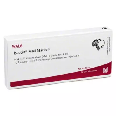 ISCUCIN Mali Starch F Ampule, 10X1 ml ISCUCIN Mali Starch F Ampule, 10X1 ml