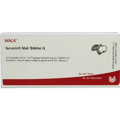 ISCUCIN Mali Starch G Ampule, 10X1 ml