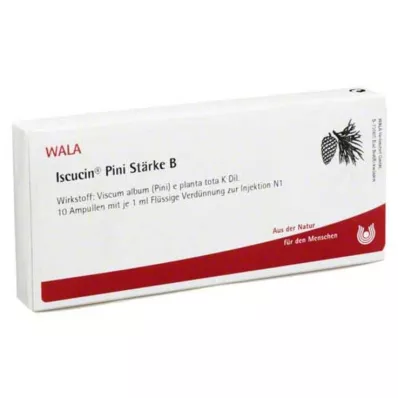 ISCUCIN pini Starch B Ampoules, 10X1 ml