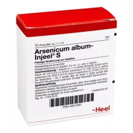 ARSENICUM ALBUM INJEEL Ampule S, 10 ks