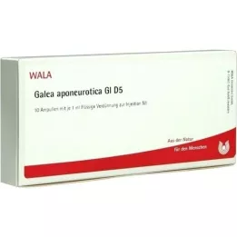 GALEA aponeurotica GL D 5 ampulí, 10X1 ml