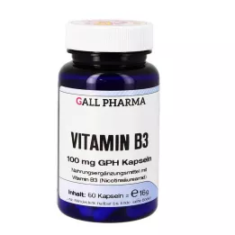VITAMIN B3 100 mg GPH Kapsle, 60 ks