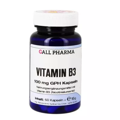 VITAMIN B3 100 mg GPH Kapsle, 60 ks