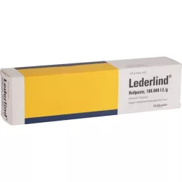 LEDERLIND Léčivá pasta, 100 g