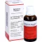 BERBERIS N Oligoplex Liquidum, 50 ml