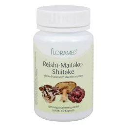 REISHI-MAITAKE-Kapsle Shitake vhodné pro zdravé buňky, 60 ks