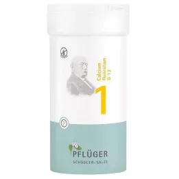 BIOCHEMIE Orobincová sádra 1 Calcium fluoratum D 12 tbl, 400 ks