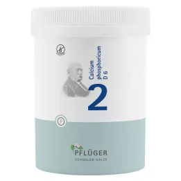 BIOCHEMIE Orobincová sádra 2 Calcium phosphoricum D 6 tbl, 1000 ks