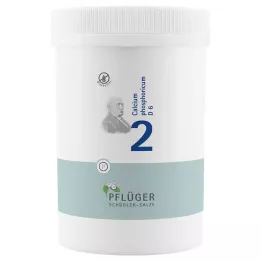 BIOCHEMIE Orobincová sádra 2 Calcium phosphoricum D 6 tbl, 4000 ks
