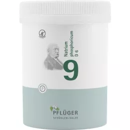 BIOCHEMIE Orobincová sádra 9 Natrium phosphoricum D 6 tbl, 1000 ks