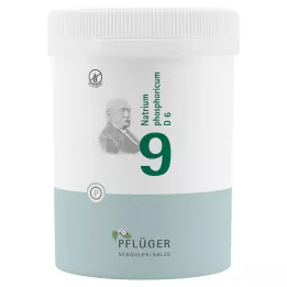 BIOCHEMIE Orobincová sádra 9 Natrium phosphoricum D 6 tbl, 1000 ks