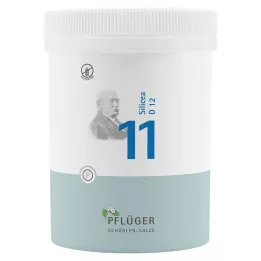 BIOCHEMIE Ploughmans Plaster 11 Silicea D 12 tablet, 1000 ks