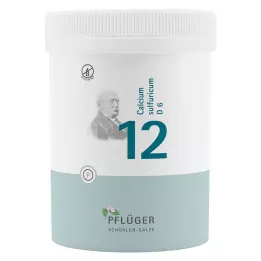 BIOCHEMIE Pluhová sádra 12 Calcium sulphuricum D 6 tbl, 1000 ks