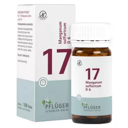 BIOCHEMIE Orobincová sádra 17 Manganum sulphuricum D 6 tbl, 100 ks