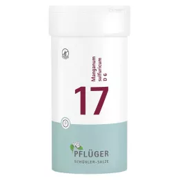 BIOCHEMIE Orobincová sádra 17 Manganum sulphuricum D 6 tbl, 400 ks