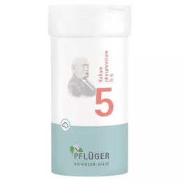 BIOCHEMIE Pluhová sádra 5 Kalium phosphoricum D 6 Prášek, 100 g