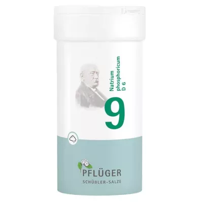 Biochemie Pflueger 9 Natrum phosphoricum D 6 prášek, 100 g