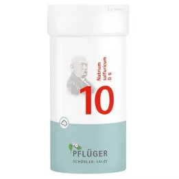 BIOCHEMIE Pluhová sádra 10 Natrium sulphuricum D 6 prášek, 100 g