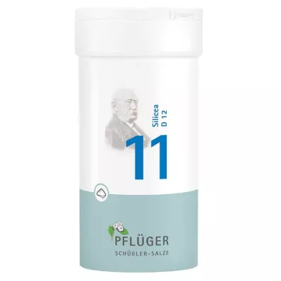 Biochemie Pflueger 11 Silicea D 12 prášek, 100 g