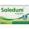 SOLEDUM 100 mg enterální potahované tobolky, 100 ks