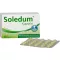 SOLEDUM 100 mg enterální potahované tobolky, 100 ks