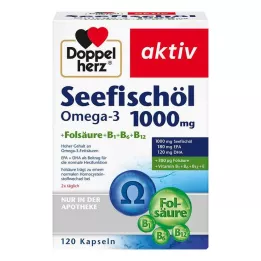 DOPPELHERZ Mořský rybí olej Omega-3 1.000 mg+Fols.Caps., 120 ks