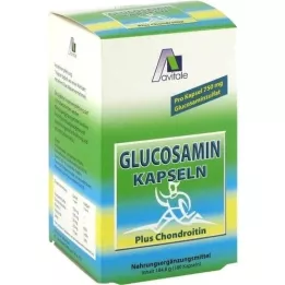 GLUCOSAMIN 750 mg+chondroitin 100 mg kapsle, 180 ks