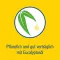 PINIMENTHOL Studená koupel pro dítě od 2 let Eukalyptus, 30 ml