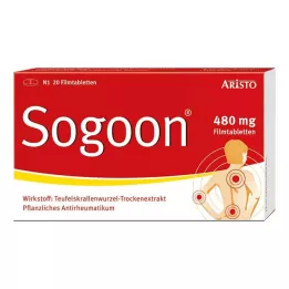 SOGOON 480 mg potahované tablety, 20 kusů