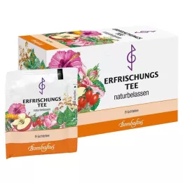 ERFRISCHUNGSTEE Filtrační sáček, 20X3 g