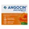 ANGOCIN Antiinfekční N potahované tablety, 100 ks