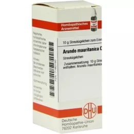 ARUNDO mauritanica C 30 globulí, 10 g