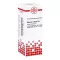 Ředění Asterias Rubens D6 (20 ml)