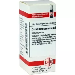 CALADIUM seguinum D 12 globulí, 10 g