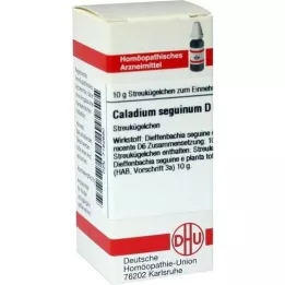 CALADIUM seguinum D 6 globulí, 10 g