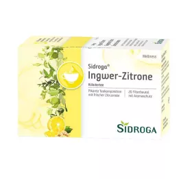 SIDROGA Filtrační sáček čaje Wellness Ginger Lemon, 20X2,0 g