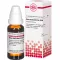 RHUS TOXICODENDRON D 200 ředění, 20 ml