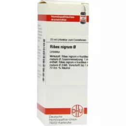 RIBES NIGRUM matečná tinktura, 20 ml