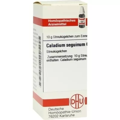 CALADIUM seguinum C 6 globulí, 10 g