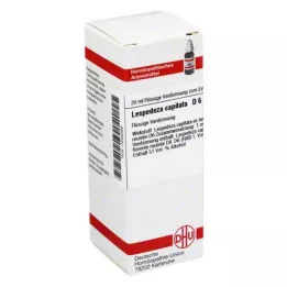 LESPEDEZA CAPITATA D 6 Ředění, 20 ml