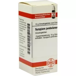 SYZYGIUM JAMBOLANUM D 4 kuličky, 10 g