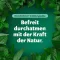 Bronchoforton® mast, 100 g