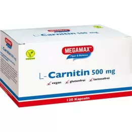 L-CARNITIN 500 mg Megamax kapsle, 120 ks