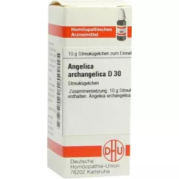 ANGELICA ARCHANGELICA D 30 globulí, 10 g