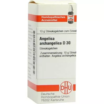 ANGELICA ARCHANGELICA D 30 globulí, 10 g