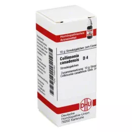 COLLINSONIA CANADENSIS D 4 kuličky, 10 g