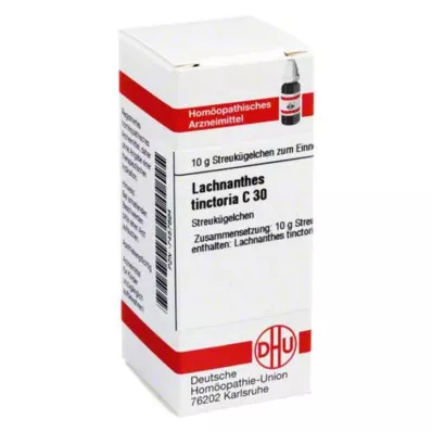 DHU Lachnanthes tinctoria C 30 globule, 10 g