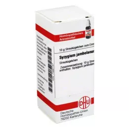 SYZYGIUM JAMBOLANUM D 6 globulí, 10 g